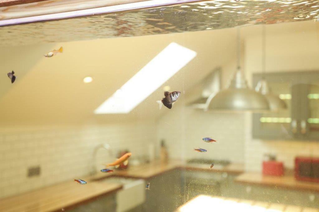 Apartment Manhattan Loft *